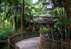 Du Fu Thatched Cottage